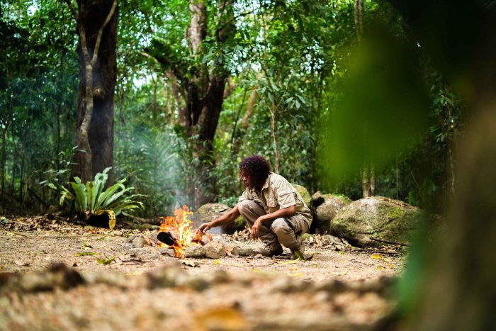 Belum malaysia resort royal rainforest park elephants exploring night animal