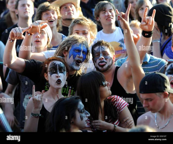 Festival fest loudwire crowd upheaval
