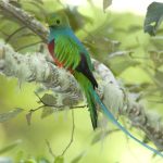 Dominica destinations