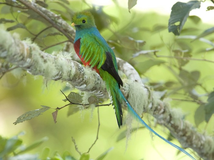 Dominica destinations